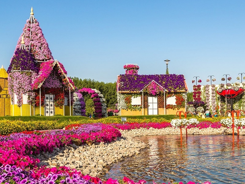 127010920Dubai-Miracle-Garden